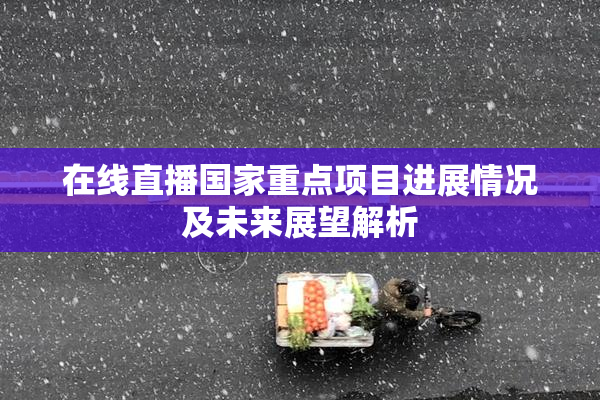 在线直播国家重点项目进展情况及未来展望解析