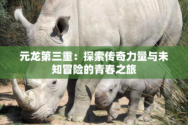 元龙第三重：探索传奇力量与未知冒险的青春之旅