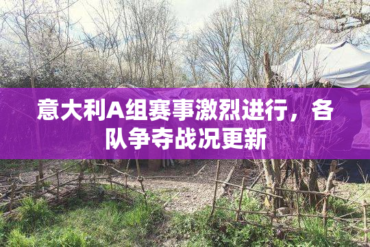 意大利A组赛事激烈进行，各队争夺战况更新