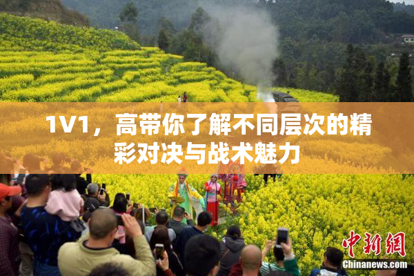 1V1，高带你了解不同层次的精彩对决与战术魅力