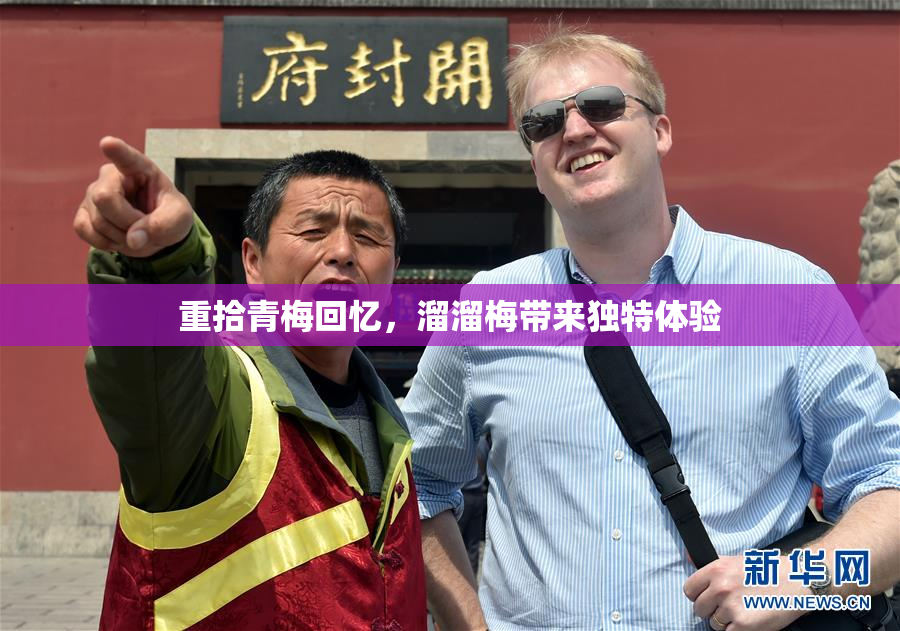 重拾青梅回忆，溜溜梅带来独特体验