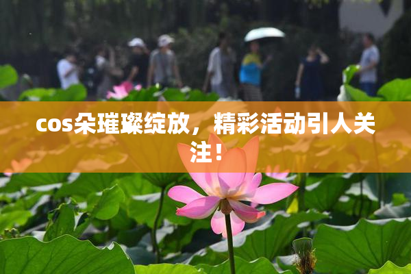 cos朵璀璨绽放，精彩活动引人关注！