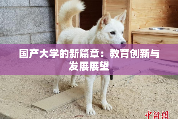 国产大学的新篇章：教育创新与发展展望