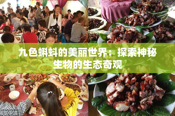 九色蝌蚪的美丽世界：探索神秘生物的生态奇观