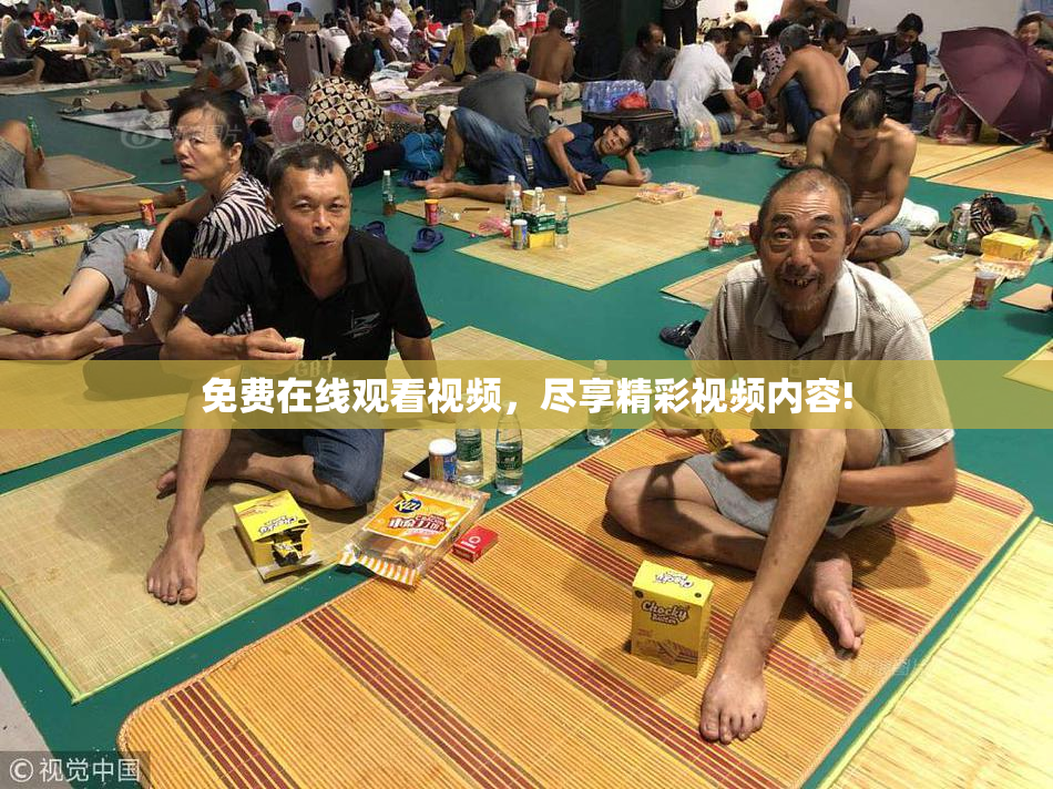 免费在线观看视频，尽享精彩视频内容!