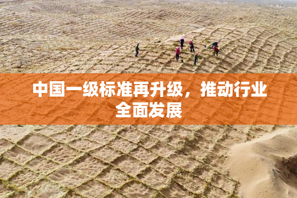 中国一级标准再升级，推动行业全面发展