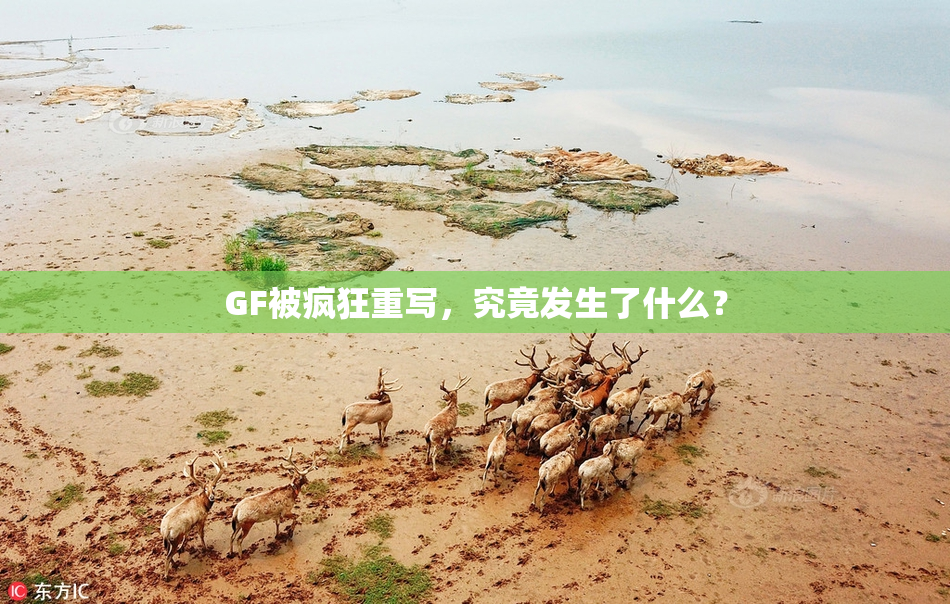 GF被疯狂重写，究竟发生了什么？