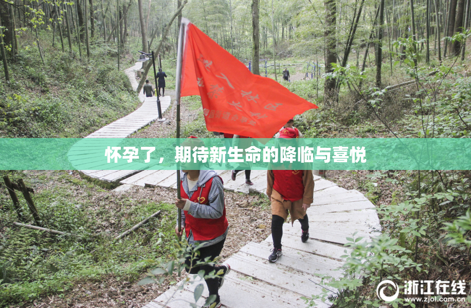 怀孕了，期待新生命的降临与喜悦