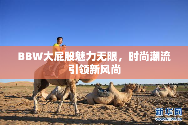 BBW大屁股魅力无限，时尚潮流引领新风尚
