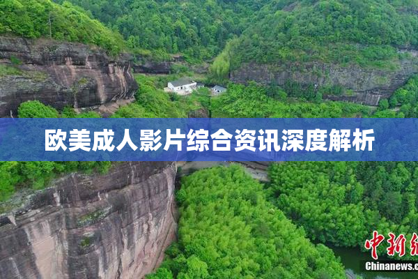 欧美成人影片综合资讯深度解析