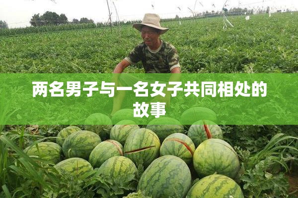 两名男子与一名女子共同相处的故事