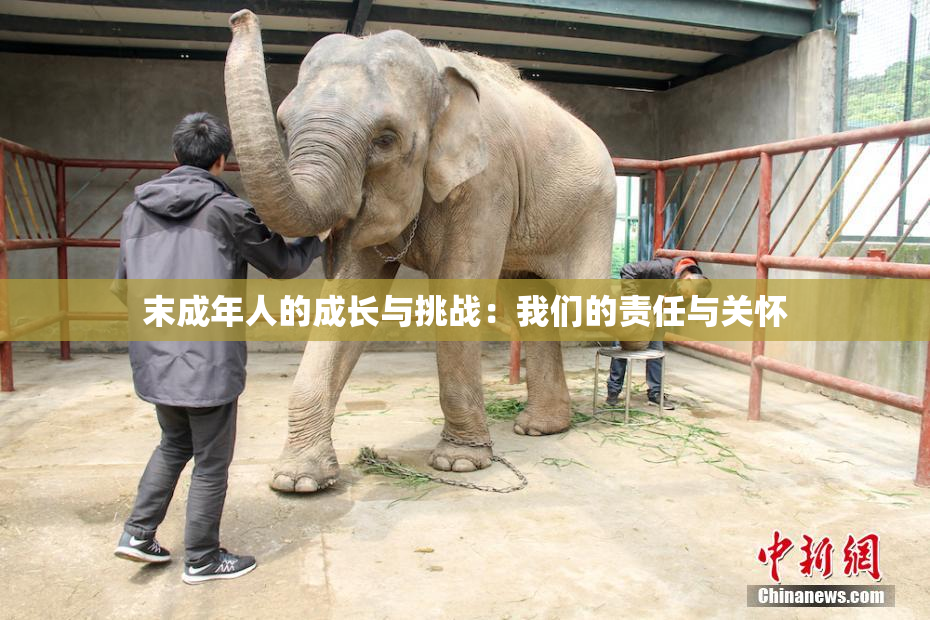 末成年人的成长与挑战：我们的责任与关怀