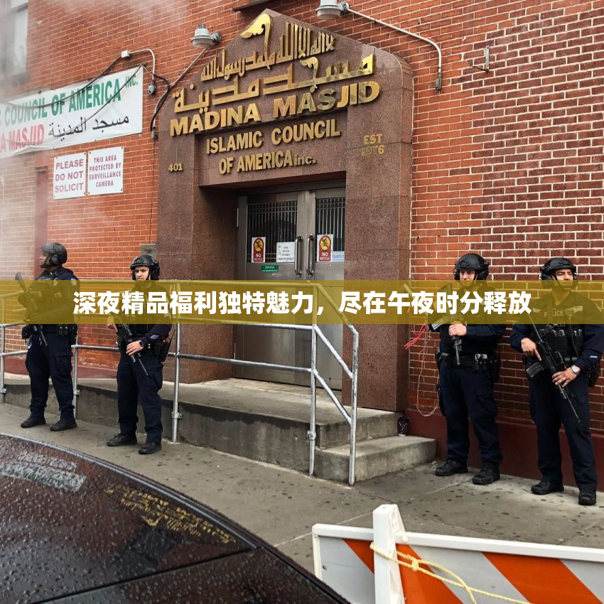 深夜精品福利独特魅力，尽在午夜时分释放