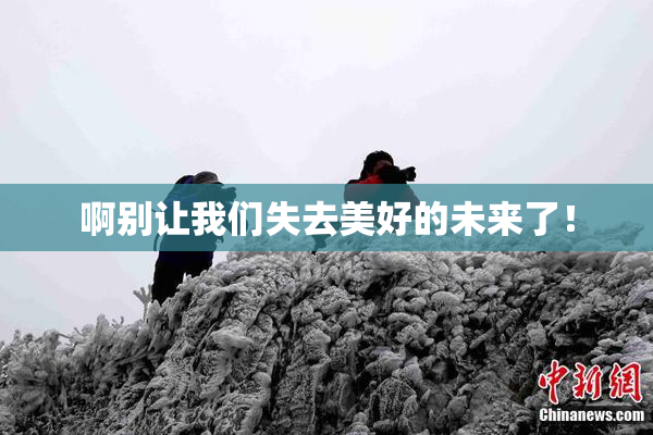 啊别让我们失去美好的未来了！