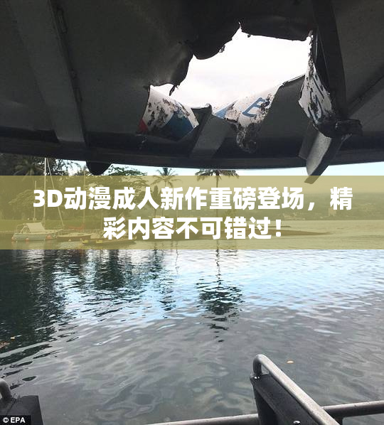 3D动漫成人新作重磅登场，精彩内容不可错过！