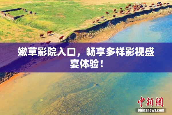 嫩草影院入口，畅享多样影视盛宴体验！