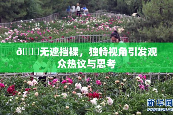 🔞无遮挡裸，独特视角引发观众热议与思考