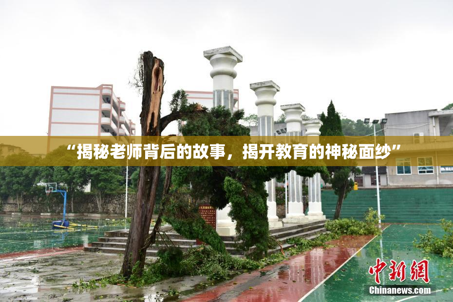 “揭秘老师背后的故事，揭开教育的神秘面纱”