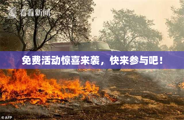 免费活动惊喜来袭，快来参与吧！
