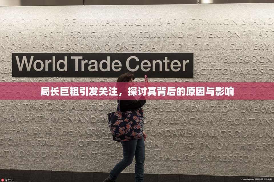 局长巨粗引发关注，探讨其背后的原因与影响