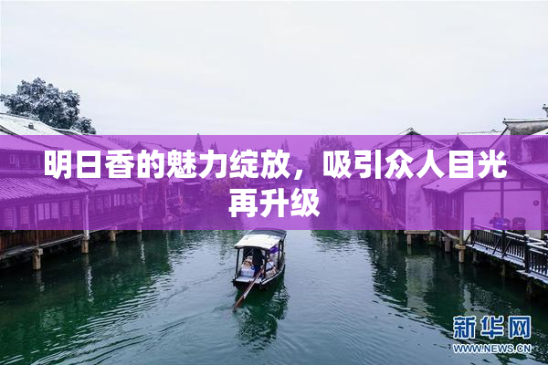 明日香的魅力绽放，吸引众人目光再升级