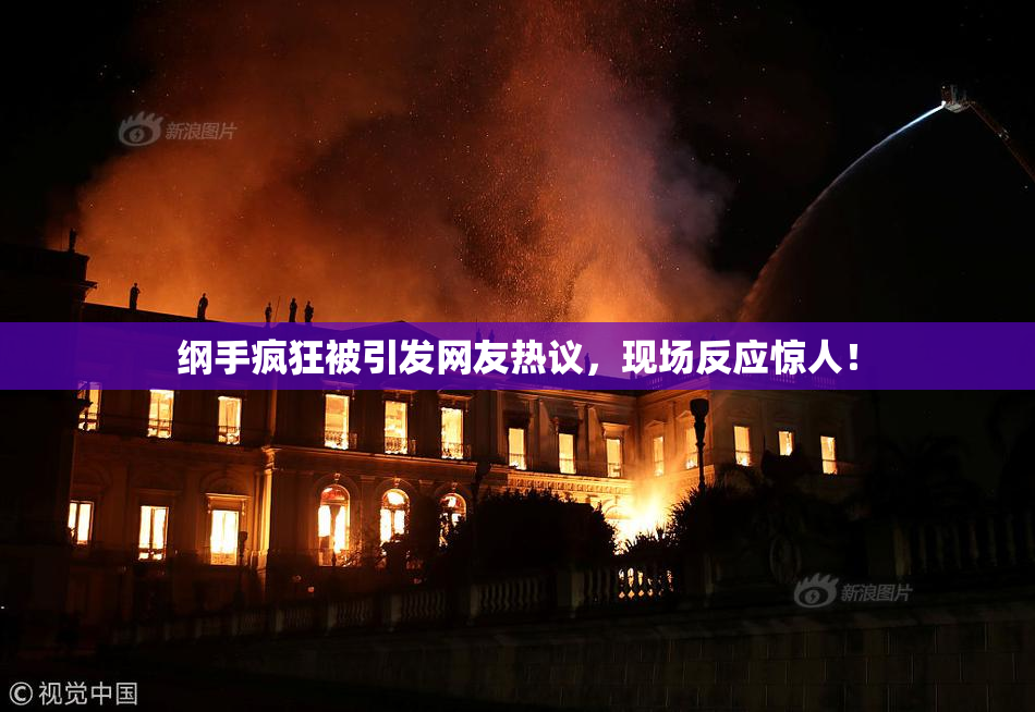 纲手疯狂被引发网友热议，现场反应惊人！