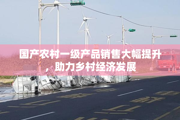 国产农村一级产品销售大幅提升，助力乡村经济发展