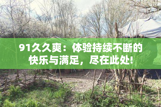 91久久爽：体验持续不断的快乐与满足，尽在此处!