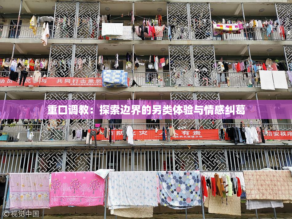 重口调教：探索边界的另类体验与情感纠葛