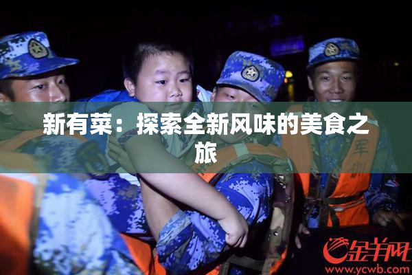 新有菜：探索全新风味的美食之旅