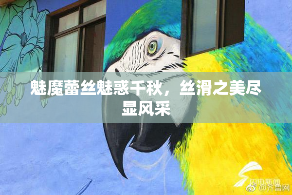 魅魔蕾丝魅惑千秋，丝滑之美尽显风采