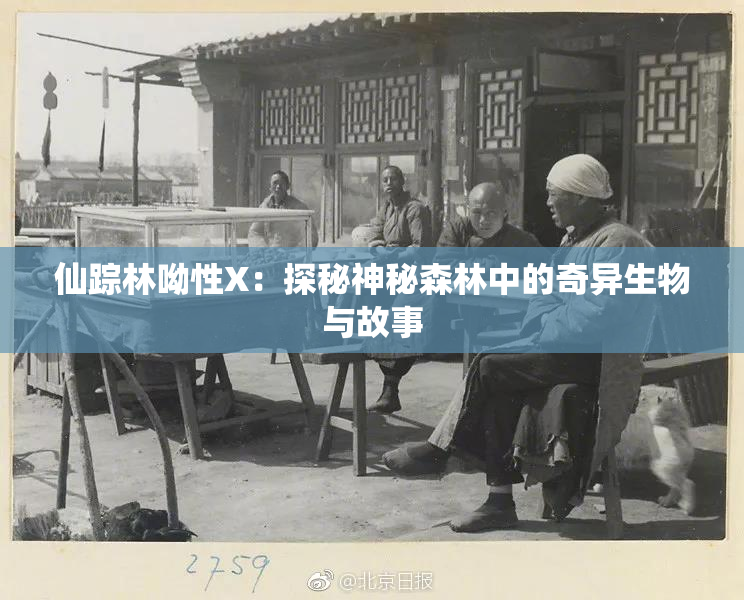 仙踪林呦性X：探秘神秘森林中的奇异生物与故事