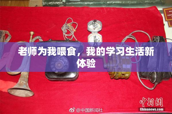 老师为我喂食，我的学习生活新体验
