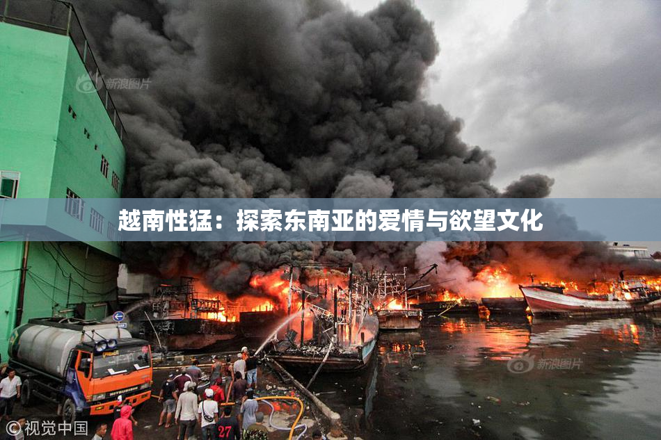 越南性猛：探索东南亚的爱情与欲望文化
