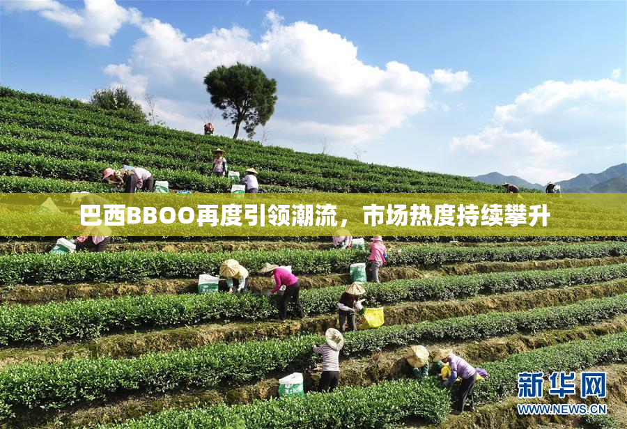 巴西BBOO再度引领潮流，市场热度持续攀升