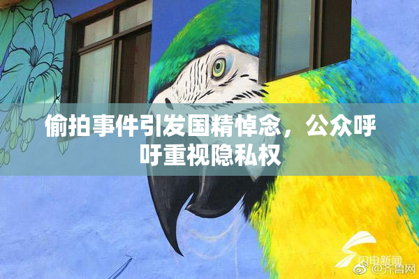 偷拍事件引发国精悼念，公众呼吁重视隐私权