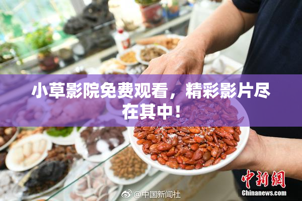 小草影院免费观看，精彩影片尽在其中！