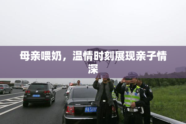 母亲喂奶，温情时刻展现亲子情深