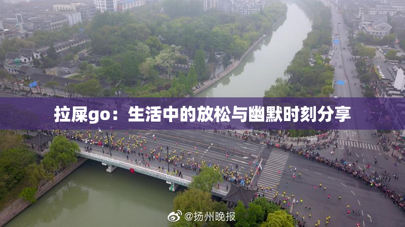 拉屎go：生活中的放松与幽默时刻分享