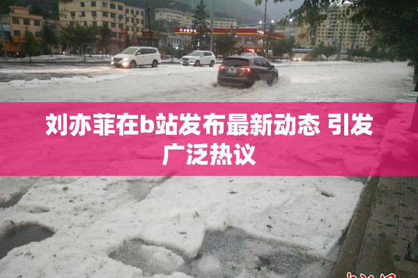 刘亦菲在b站发布最新动态 引发广泛热议