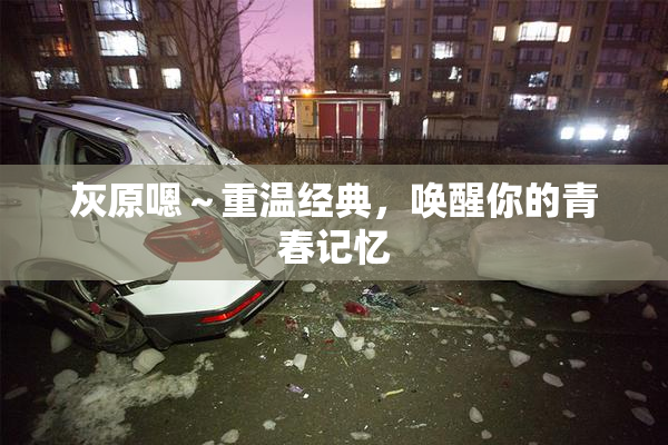 灰原嗯～重温经典，唤醒你的青春记忆