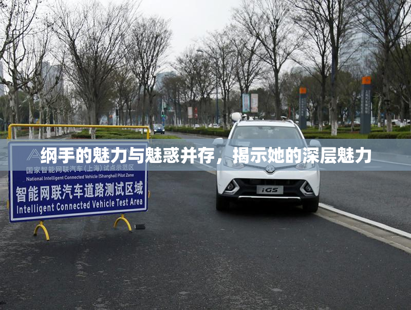 纲手的魅力与魅惑并存，揭示她的深层魅力