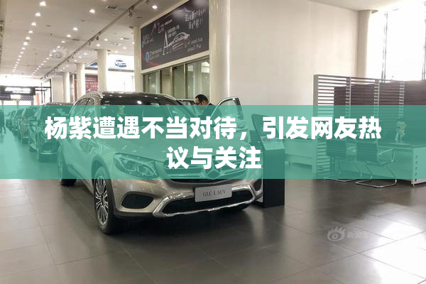 杨紫遭遇不当对待，引发网友热议与关注