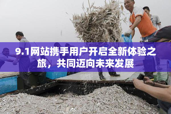 9.1网站携手用户开启全新体验之旅，共同迈向未来发展