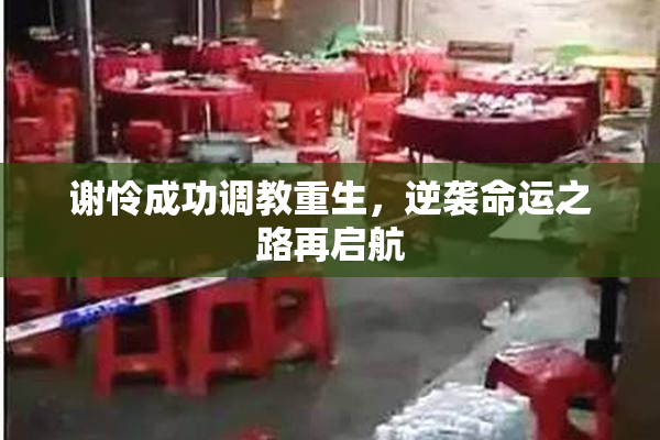 谢怜成功调教重生，逆袭命运之路再启航