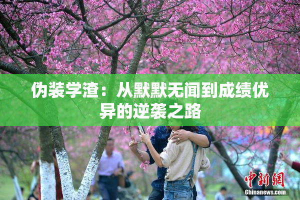 伪装学渣：从默默无闻到成绩优异的逆袭之路