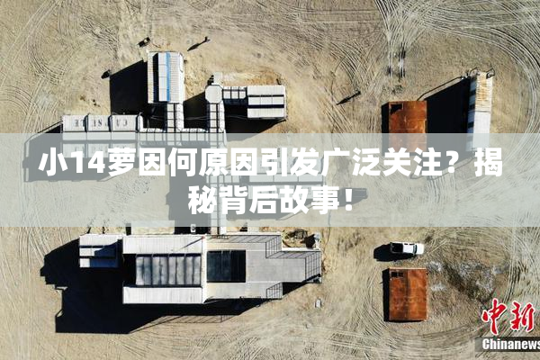 小14萝因何原因引发广泛关注？揭秘背后故事！
