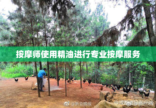 按摩师使用精油进行专业按摩服务