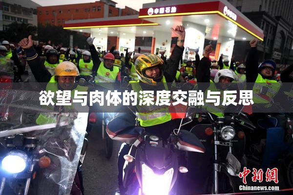 欲望与肉体的深度交融与反思