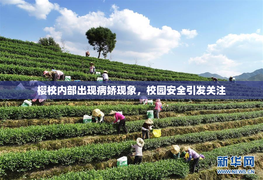 樱校内部出现病娇现象，校园安全引发关注